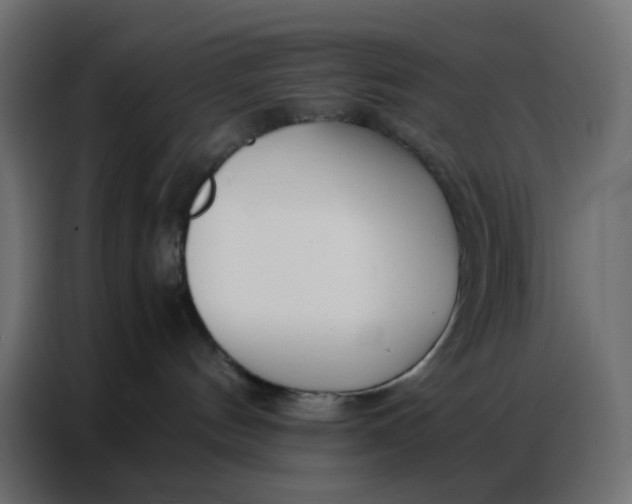 X0000086740144200705041415