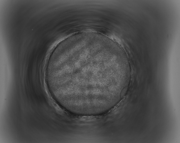 X0000086740145200705041414