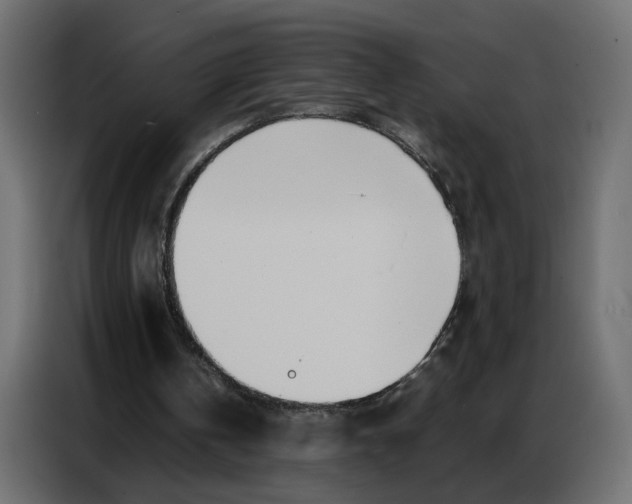 X0000086740146200705041414