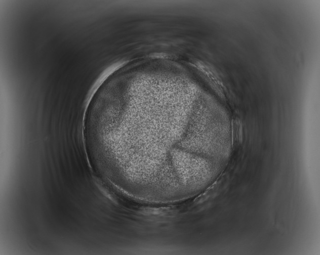 X0000086740147200705041414