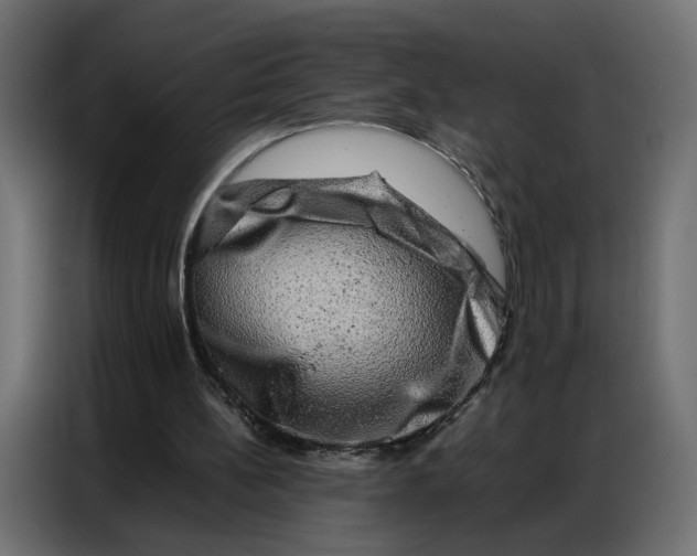 X0000086740148200705041414