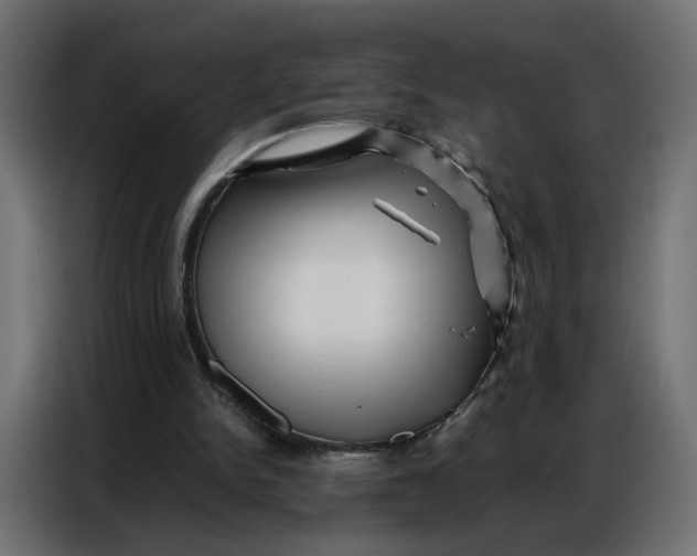 X0000086740150200705041414