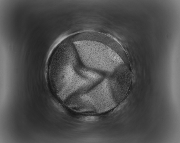 X0000086740152200705041414