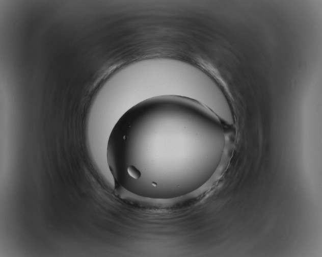 X0000086740154200705041414