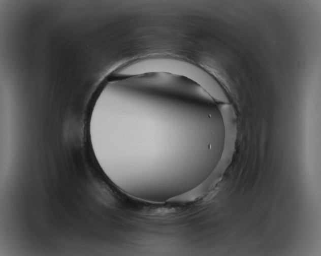 X0000086740156200705041414