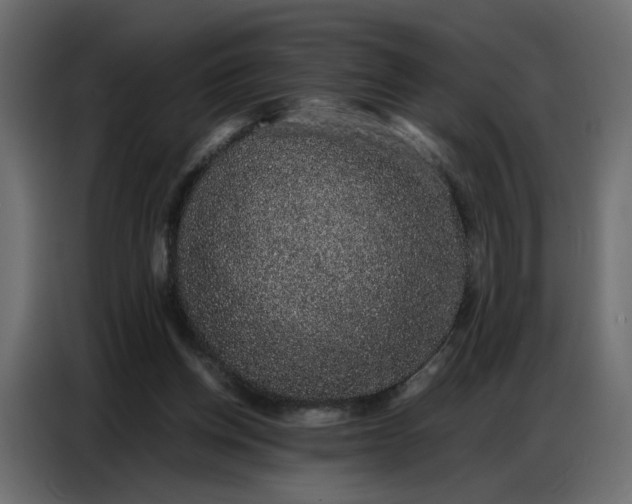 X0000086740158200705041414