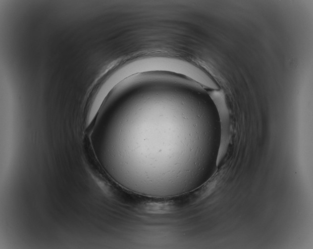 X0000086740160200705041414