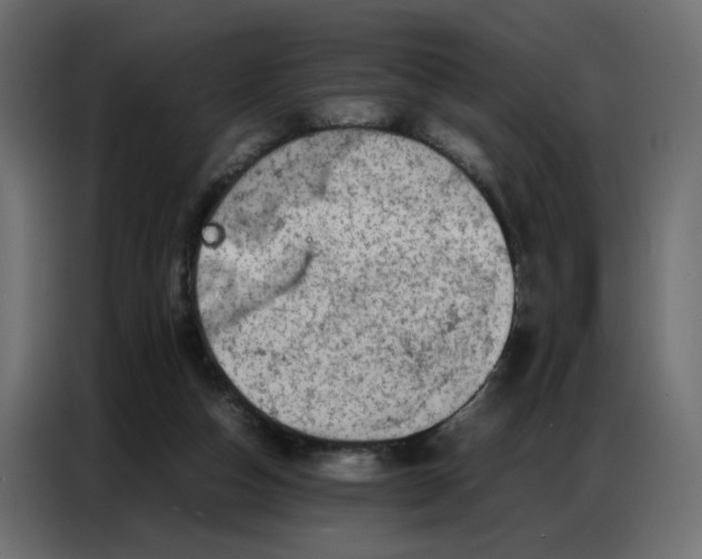 X0000086740162200705041414