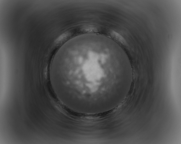 X0000086740163200705041414