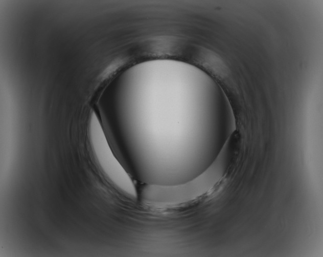 X0000086740164200705041414