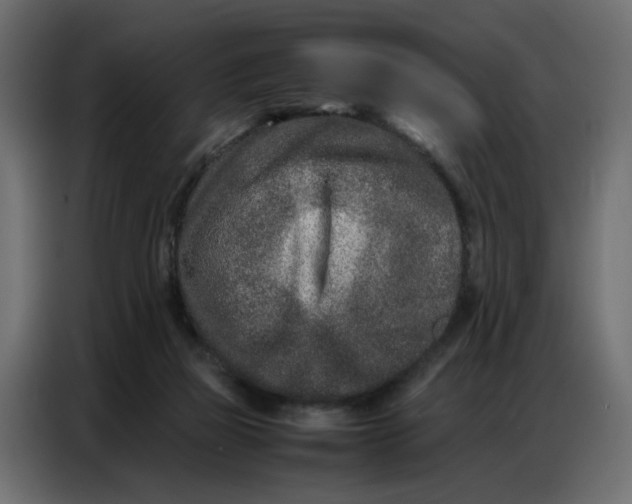 X0000086740165200705041414