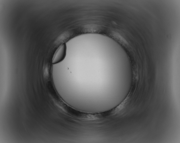 X0000086740166200705041414