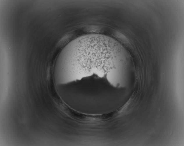 X0000086740167200705041414