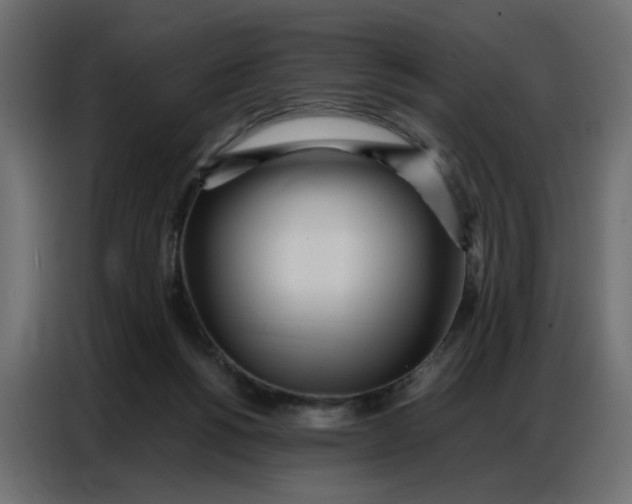 X0000086740168200705041414