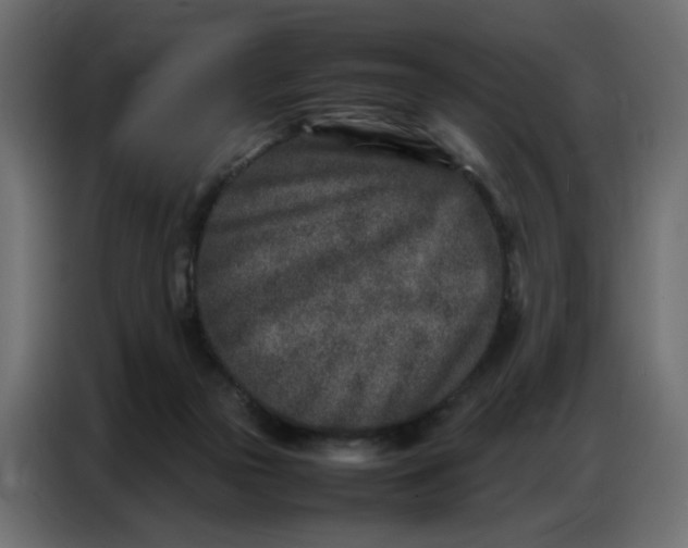 X0000086740169200705041414