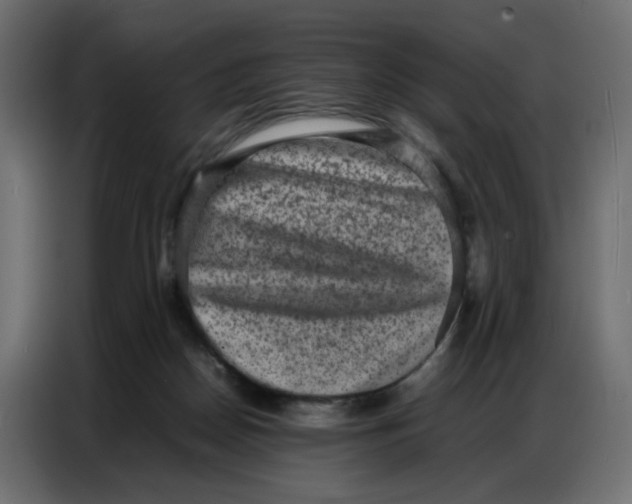 X0000086740170200705041414