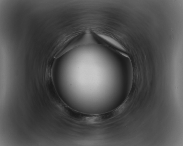 X0000086740172200705041415