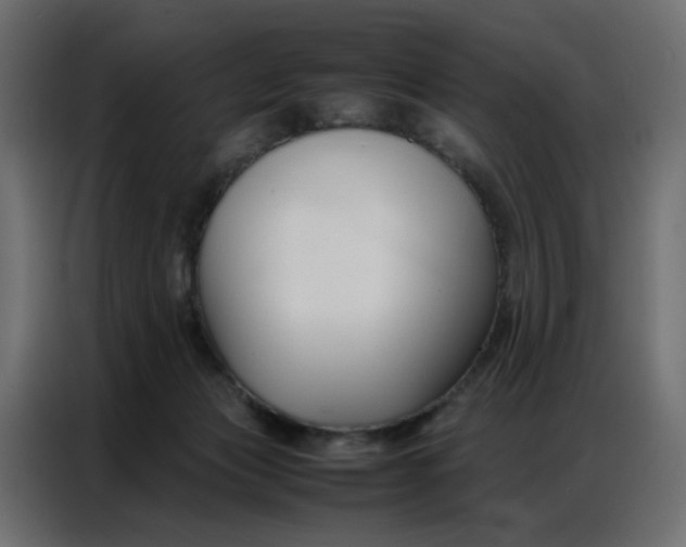 X0000086740173200705041415