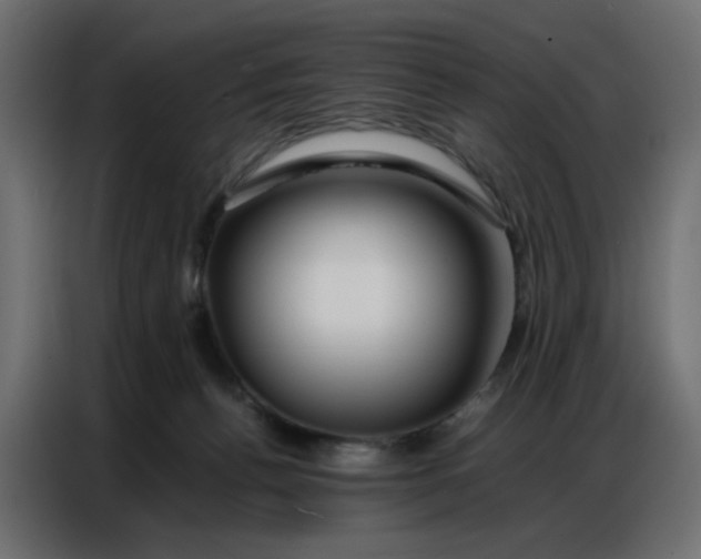 X0000086740176200705041415