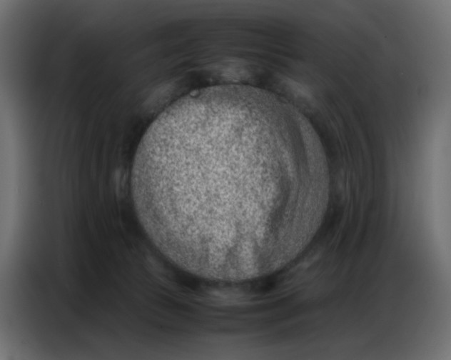 X0000086740177200705041415