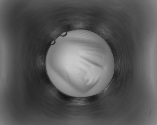 X0000086740179200705041415