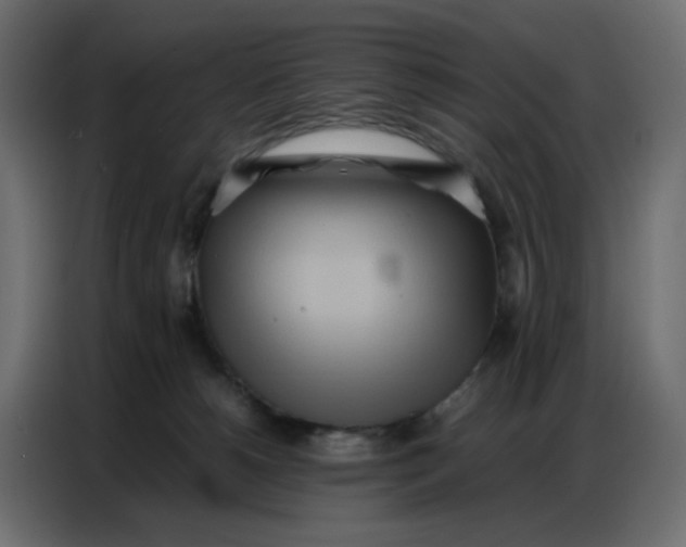 X0000086740180200705041415