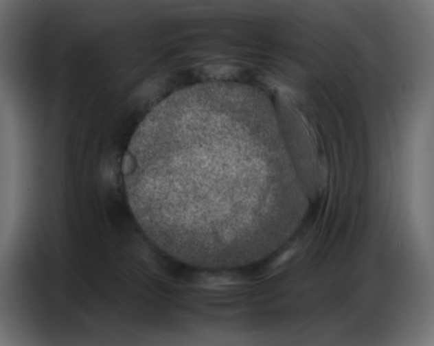 X0000086740181200705041415