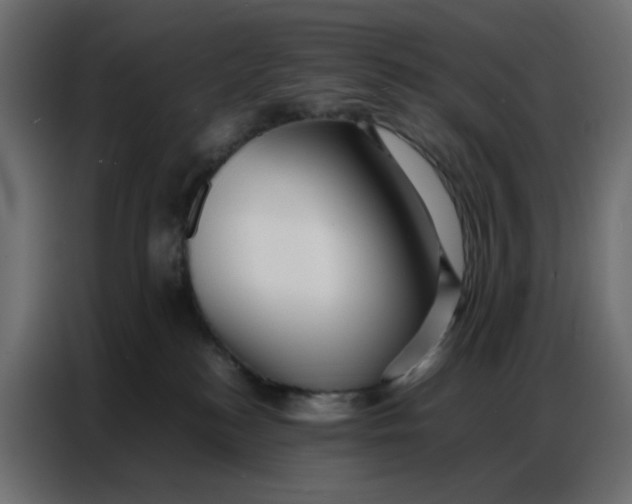 X0000086740184200705041415