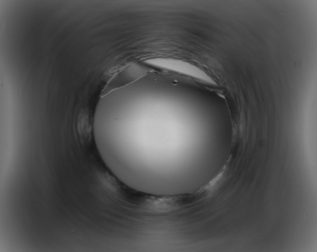 X0000086740186200705041415