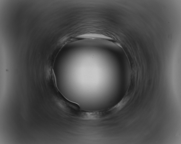 X0000086740188200705041415