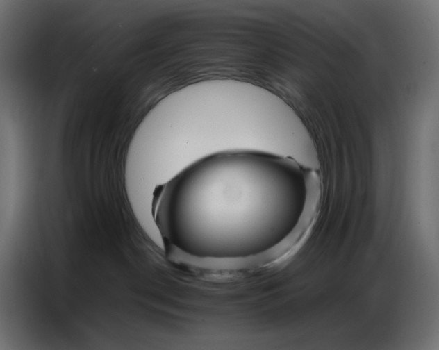 X0000086740190200705041415