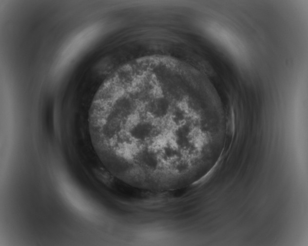 X0000086740191200705041415