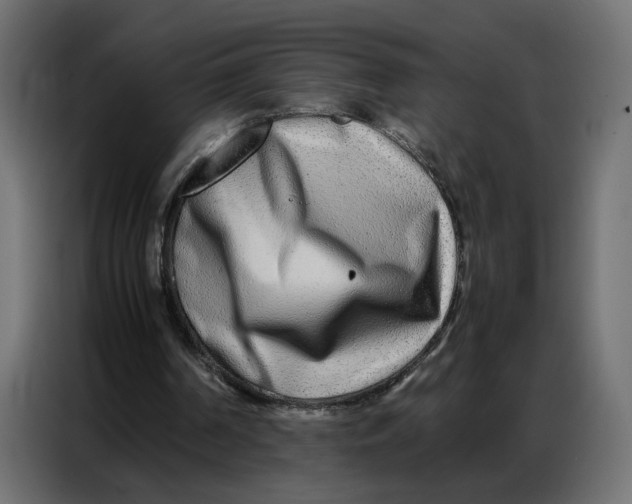 X0000086740194200705041414