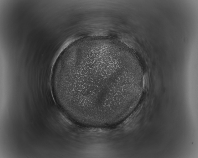 X0000086740195200705041414