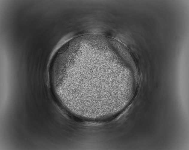 X0000086740198200705041414