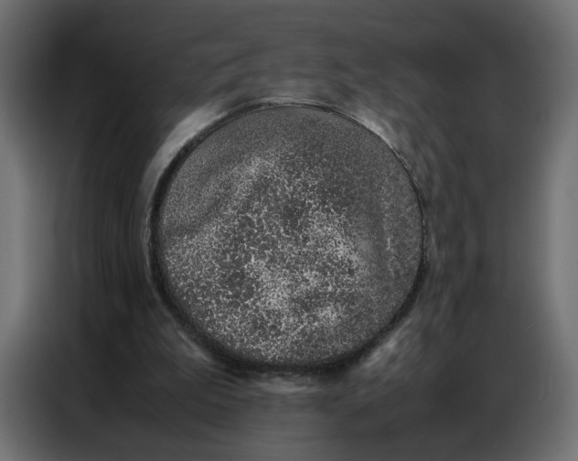 X0000086740199200705041414