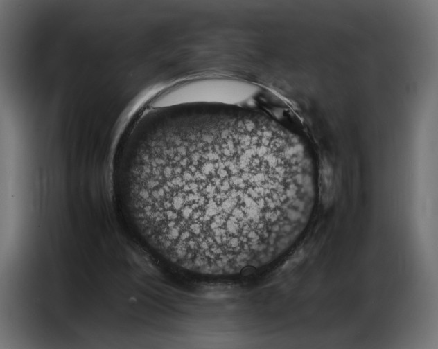 X0000086740200200705041414