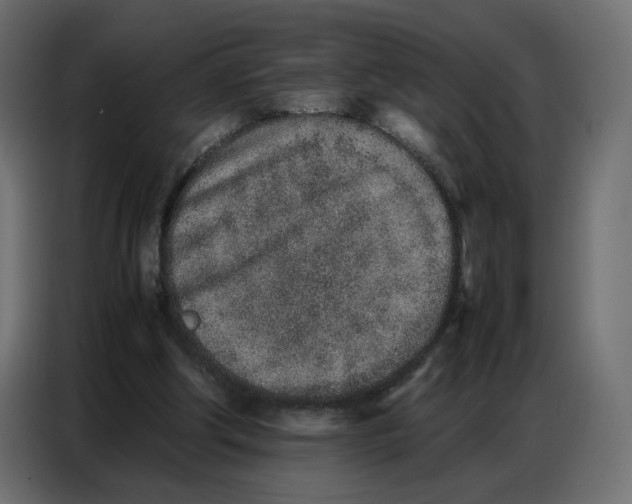 X0000086740202200705041414