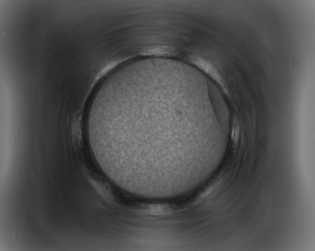 X0000086740204200705041414