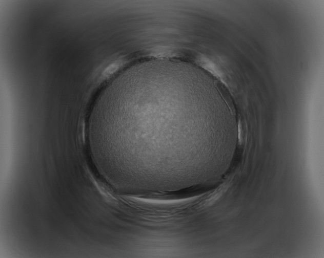 X0000086740205200705041414