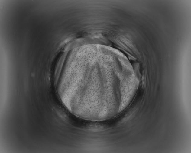 X0000086740207200705041414