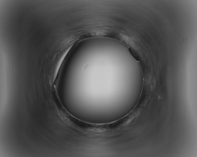 X0000086740209200705041414