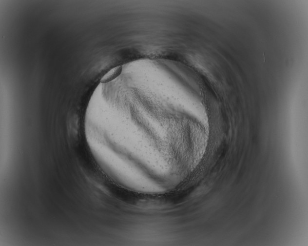 X0000086740211200705041414