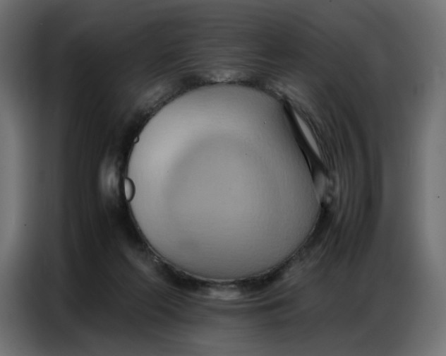 X0000086740214200705041414