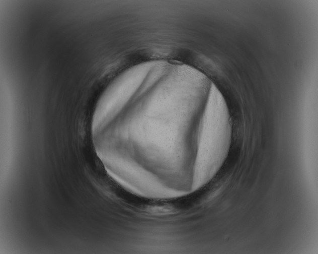 X0000086740215200705041414