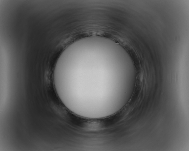 X0000086740218200705041414