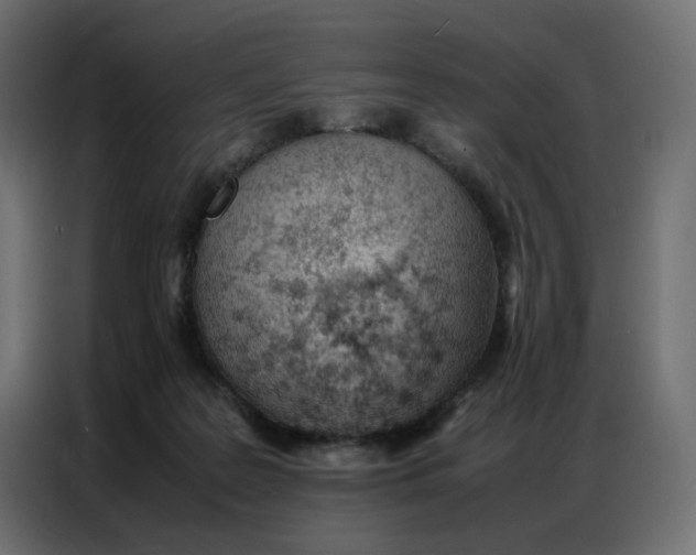 X0000086740219200705041414