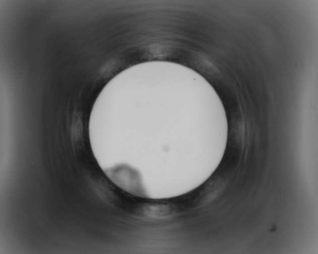 X0000086740220200705041414