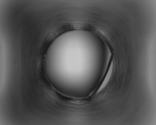 X0000086740221200705041414