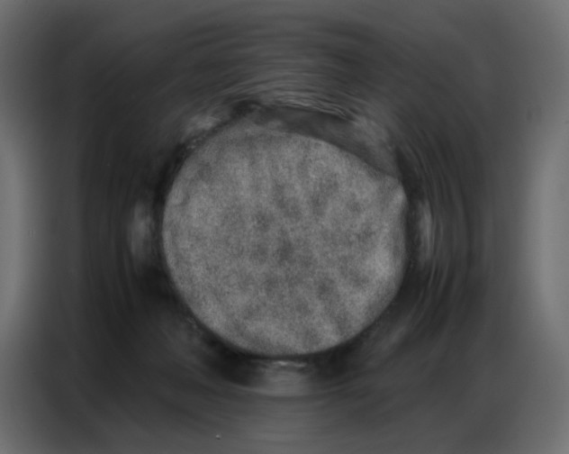 X0000086740222200705041414